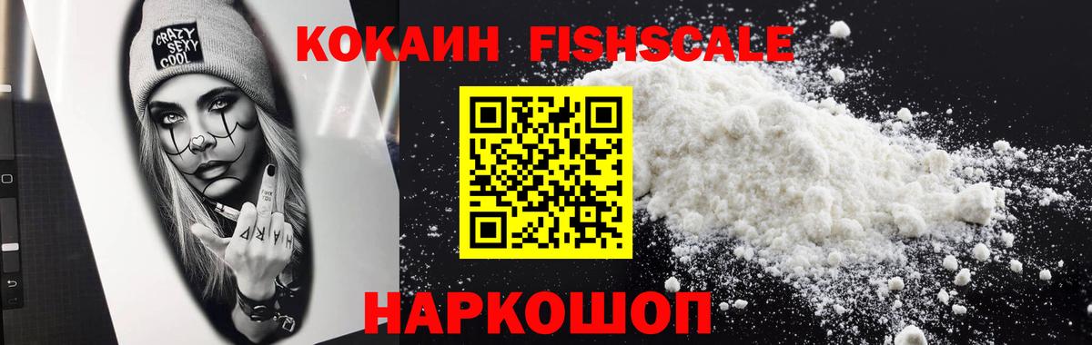 где найти   COCAIN  Мытищи  Cocaine Fish Scale  Cocaine Эквадор 