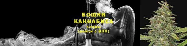 дживик Осинники