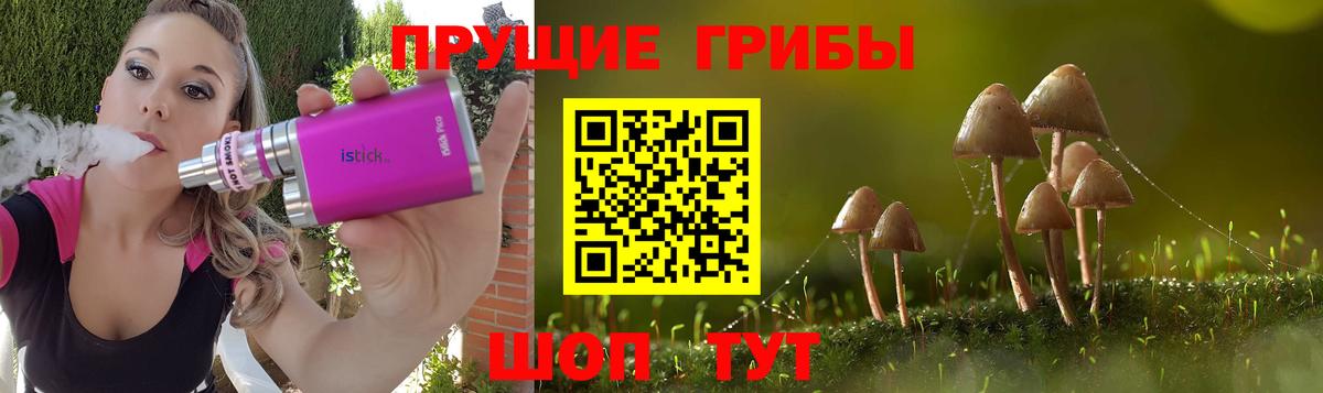 Псилоцибиновые грибы Psilocybe  Вход с VPN  Галлюциногенные грибы прущие грибы  Мытищи 