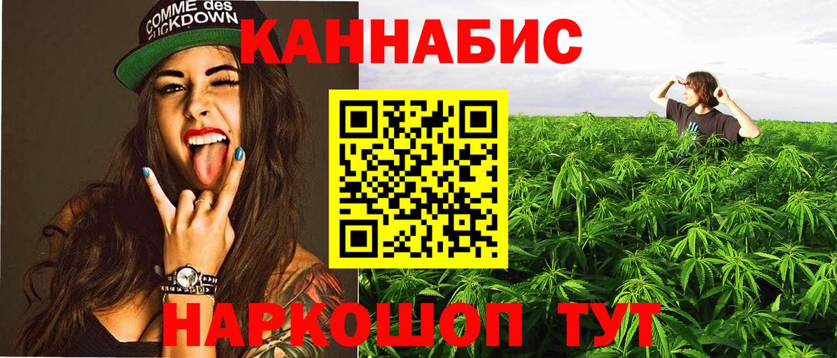 Марихуана план  МАРИХУАНА THC 21%  Мытищи 